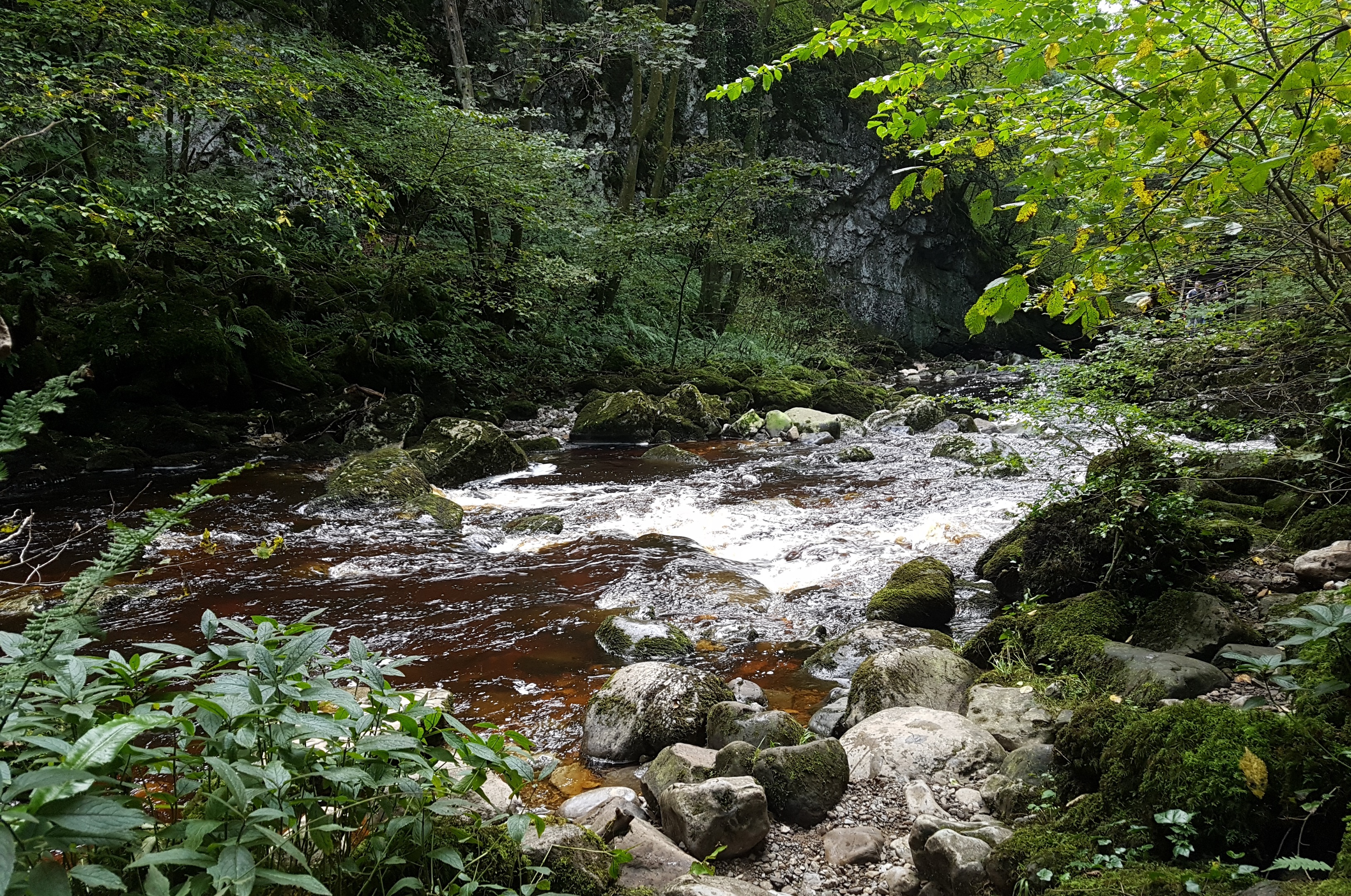 Ingleton Waterfalls Trail